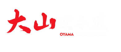 Nadruk CZAPKA WEŁNA MERINO UNISEX OYAMA, Zdjęcie № 1 - PrintSalon.pro