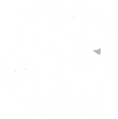 Nadruk BLUZA JHK OYAMA, Zdjęcie № 1 - PrintSalon.pro