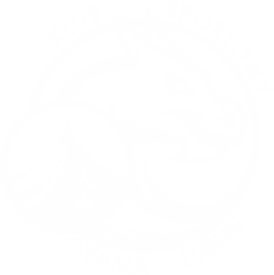 Nadruk Bluzy z kapturem PREMIUM OYAMA, Zdjęcie № 1 - PrintSalon.pro